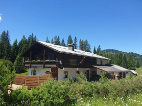 Ferienhaus Schäfer - Apartments - Wintersports - Family holiday - Holiday with your dog - Rural & Scenic